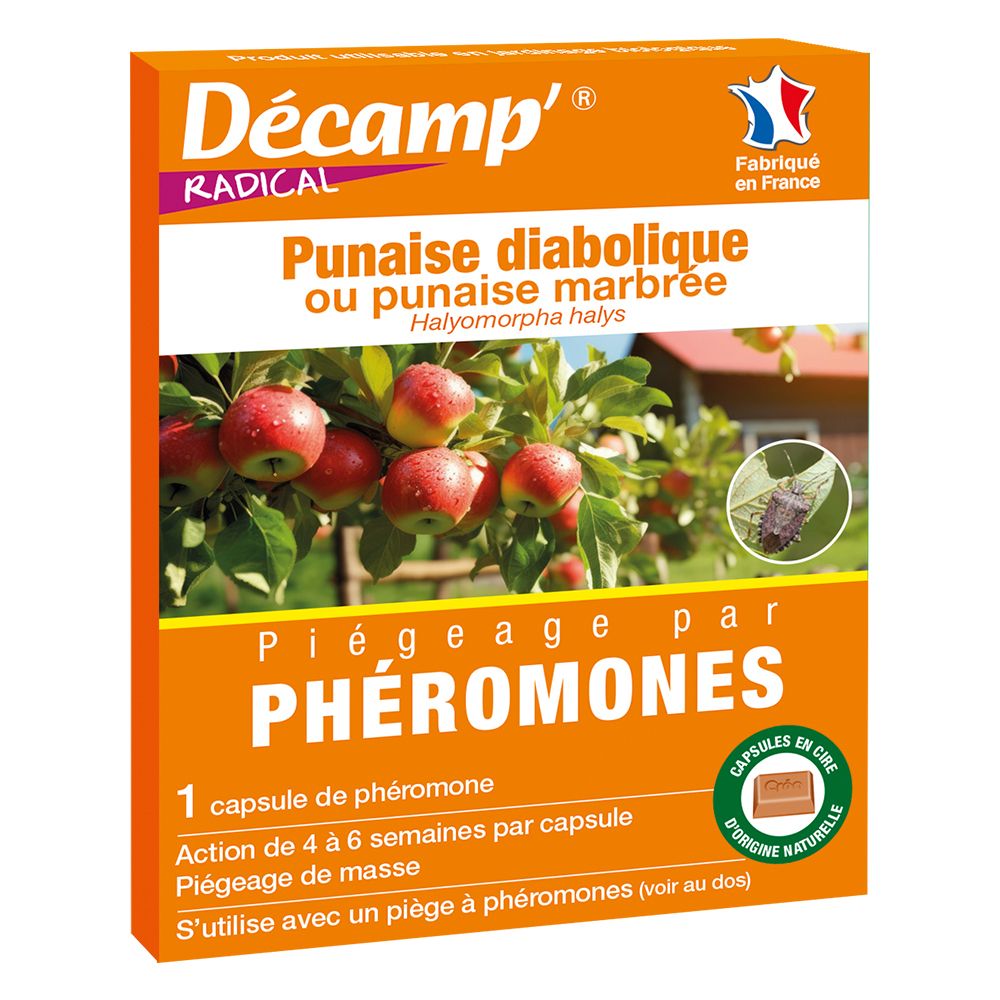 Capsule de phéromone pour punaise diabolique