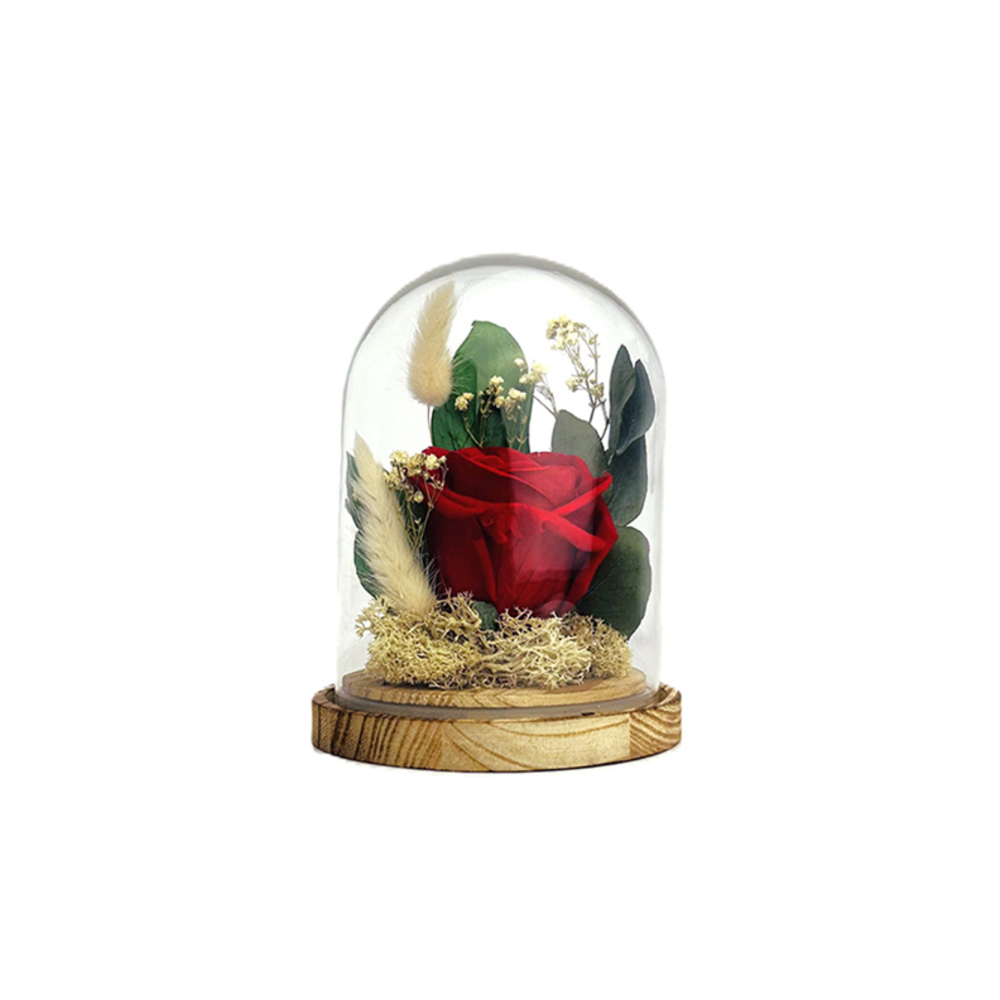 Verrine Bell, rose rouge stabilisée - D.12xH.13cm