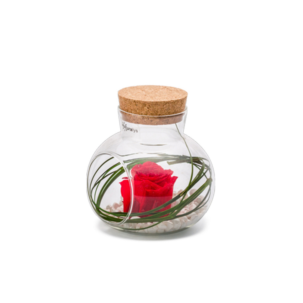 Verrine Lucca, rose rouge stabilisée - D.10xH.10cm