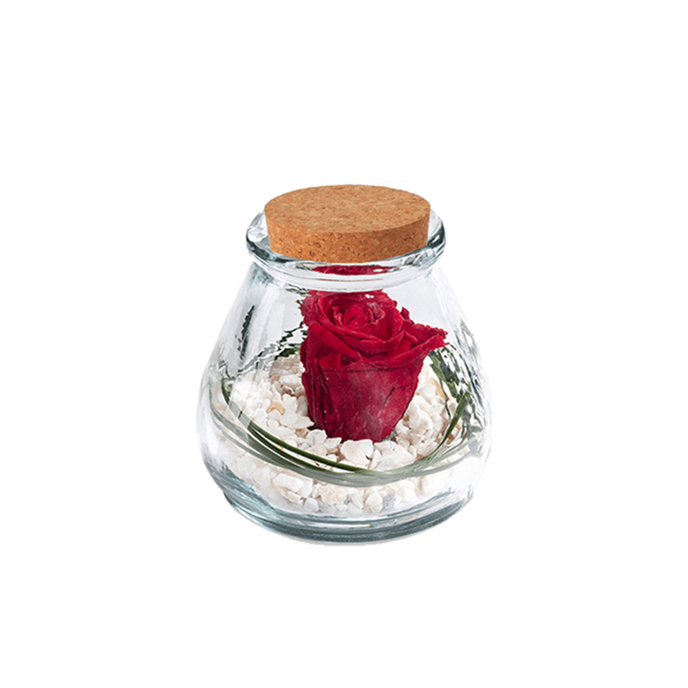 Verrine Samy, rose rouge stabilisée - D.12xH.12cm