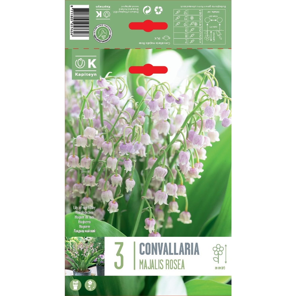 Muguet rose 3 griffes - calibre 1