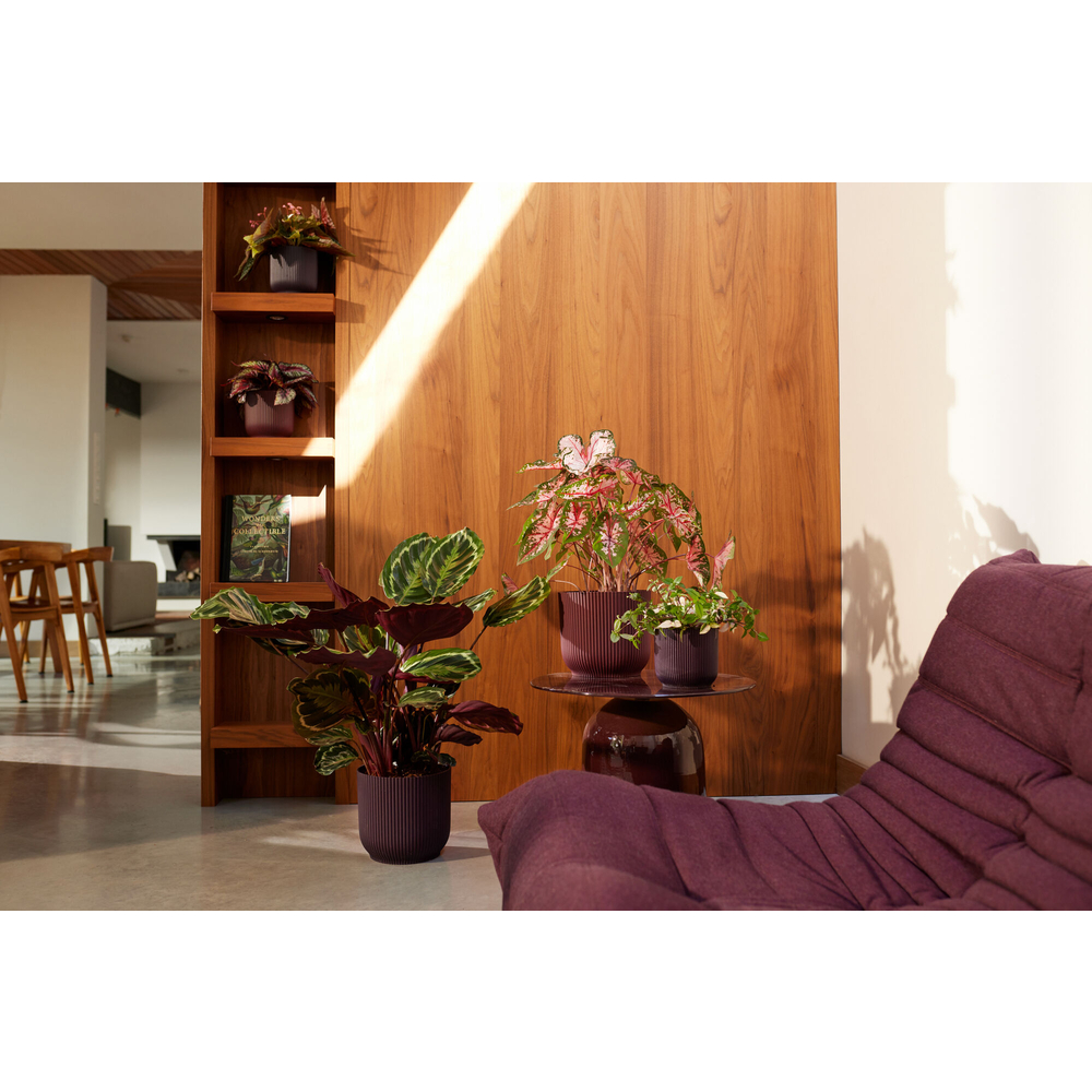 Cache-pot The Winery collection, coloris rouge bordeaux - D.22cm