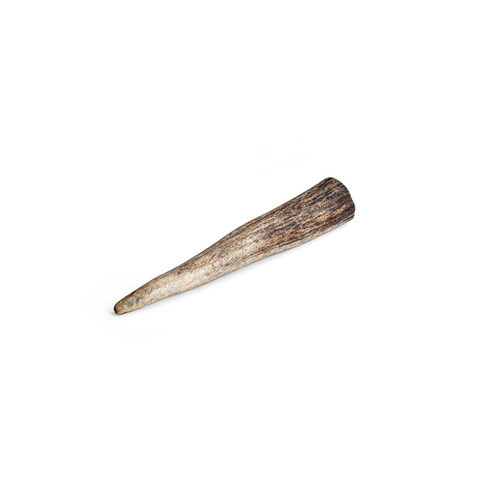 Friandise pour chiot : bois de cerf - taille S