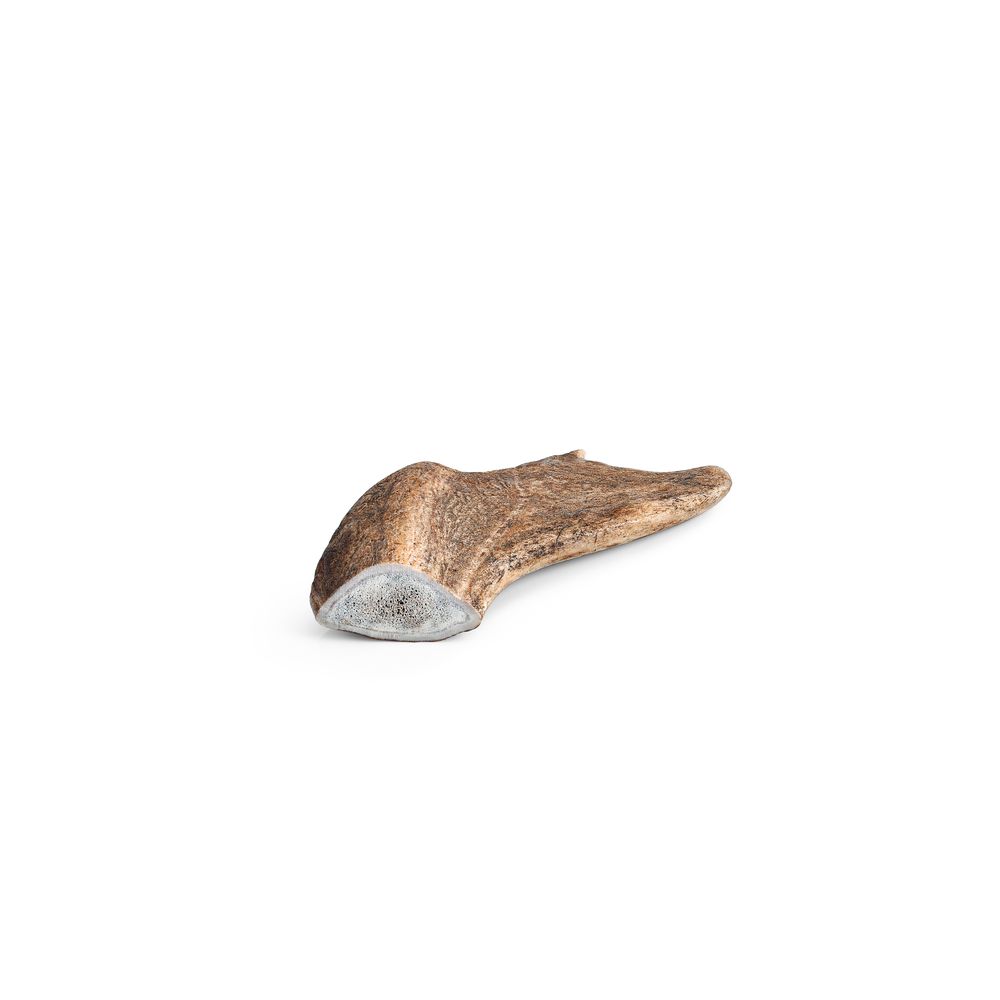Friandise pour chien : bois de daim - taille S