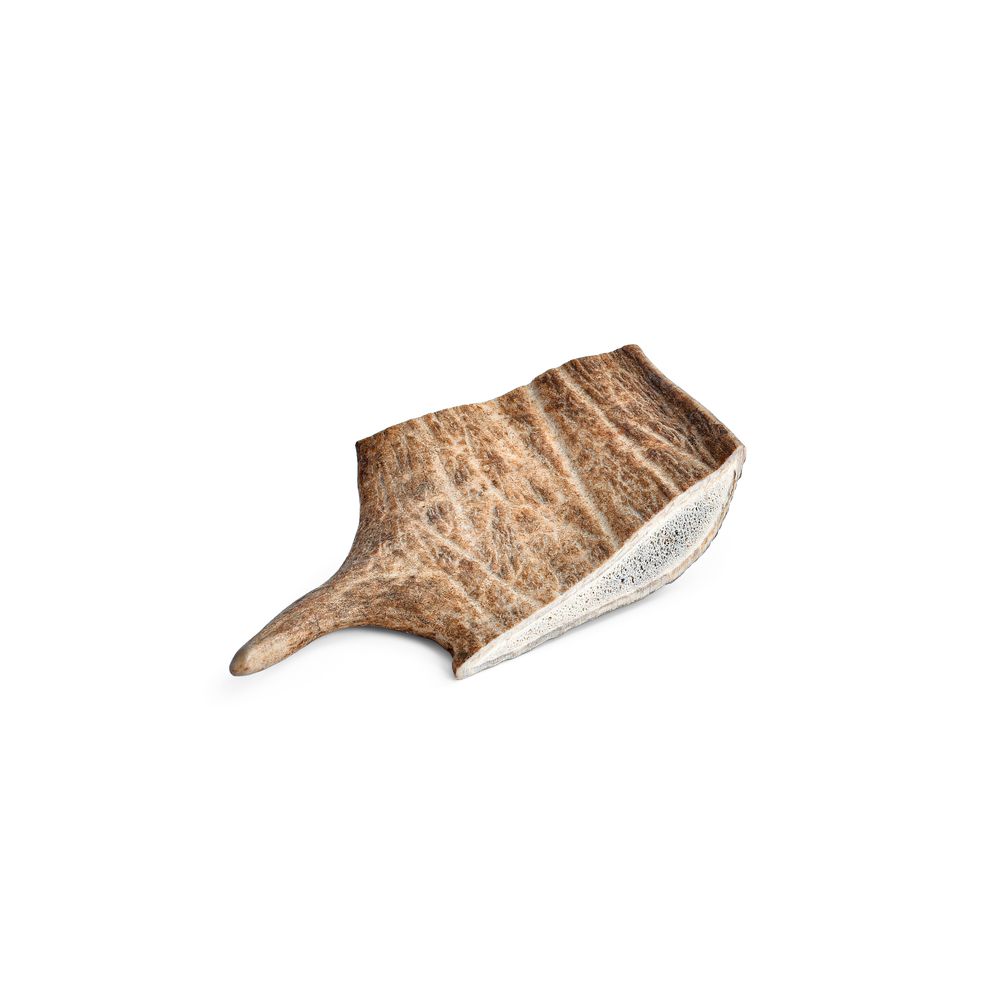 Friandise pour chien : bois de daim - taille M