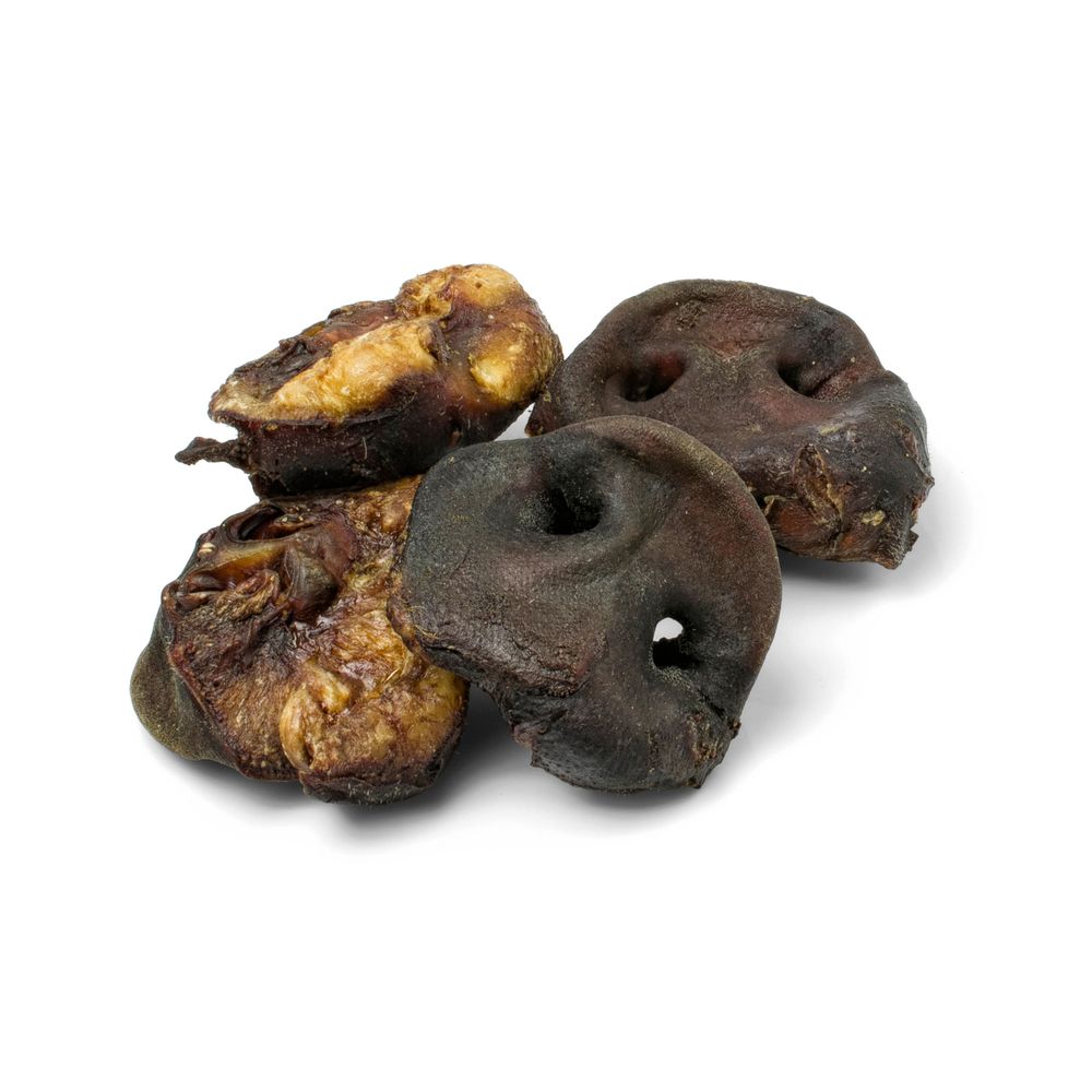 Friandise pour chien : nez de cochon - x5