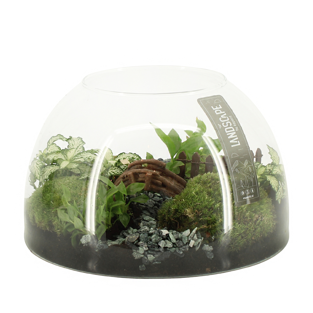 Terrarium Landscape - D.24cm