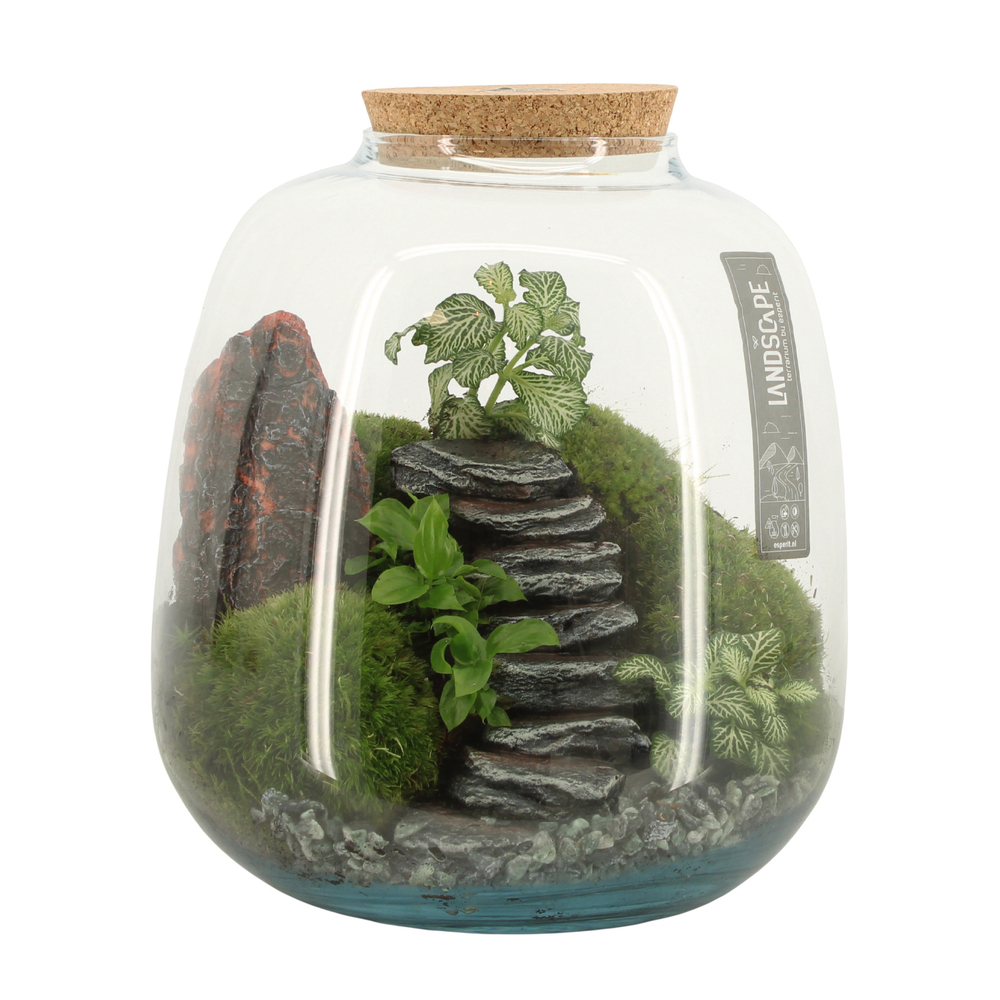 Terrarium Landscape - D.23cm