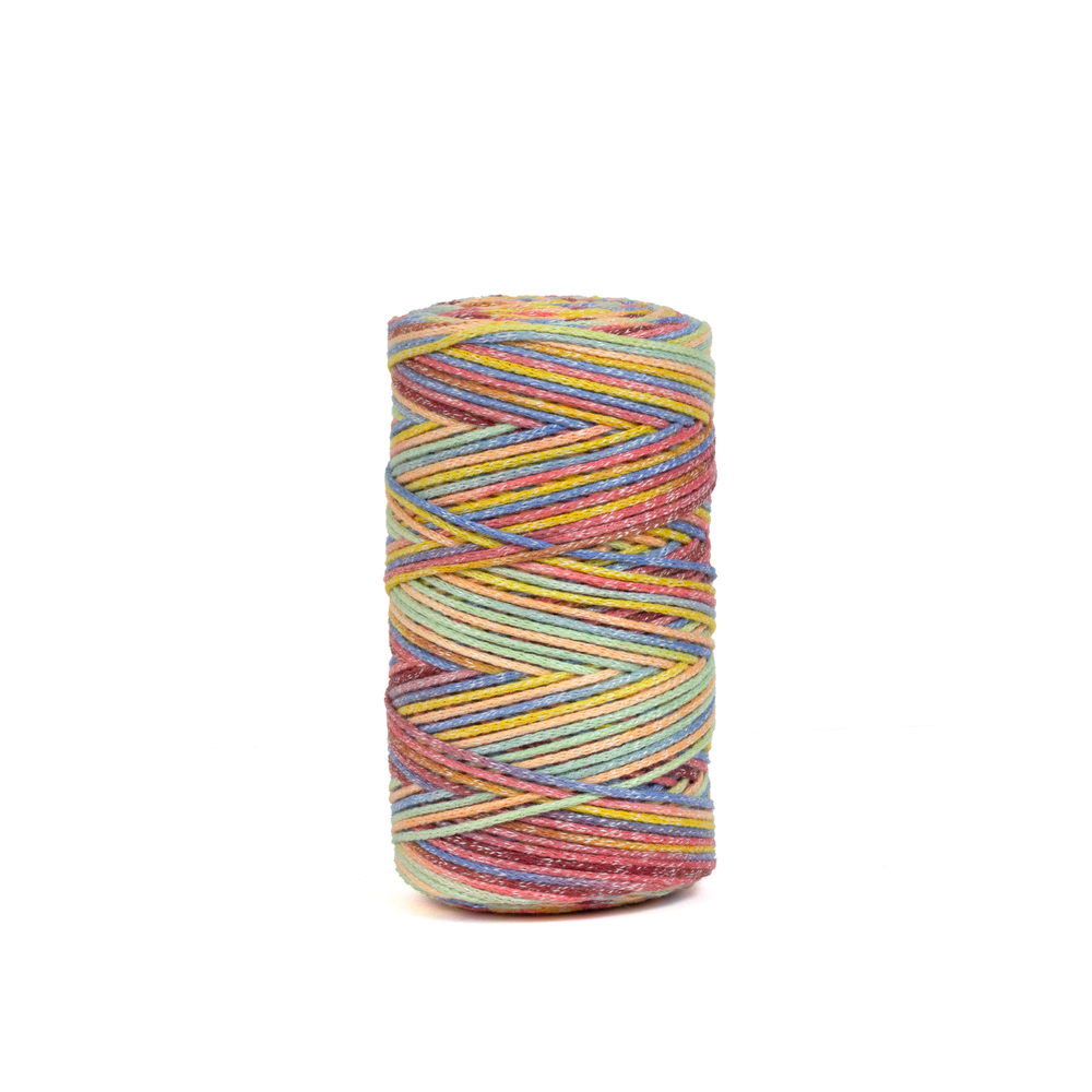 Pelote Eco Vita 4 en coton recyclé multicolore 106 - 250g