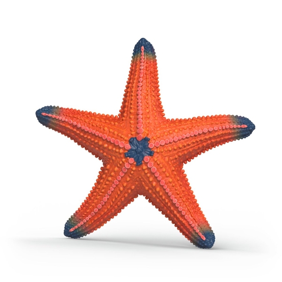 Figurine d'étoile de mer - L.7,2cm