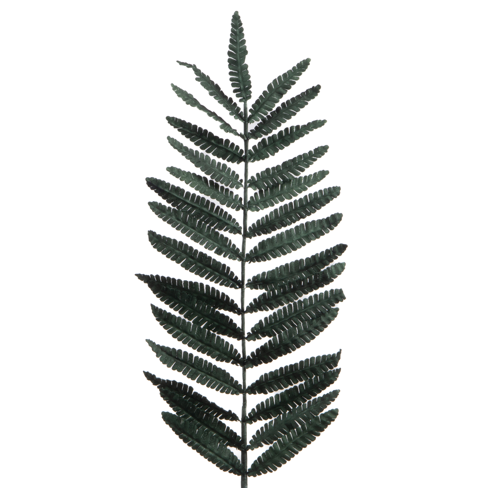Tige 'Fougère', coloris vert - H.125cm