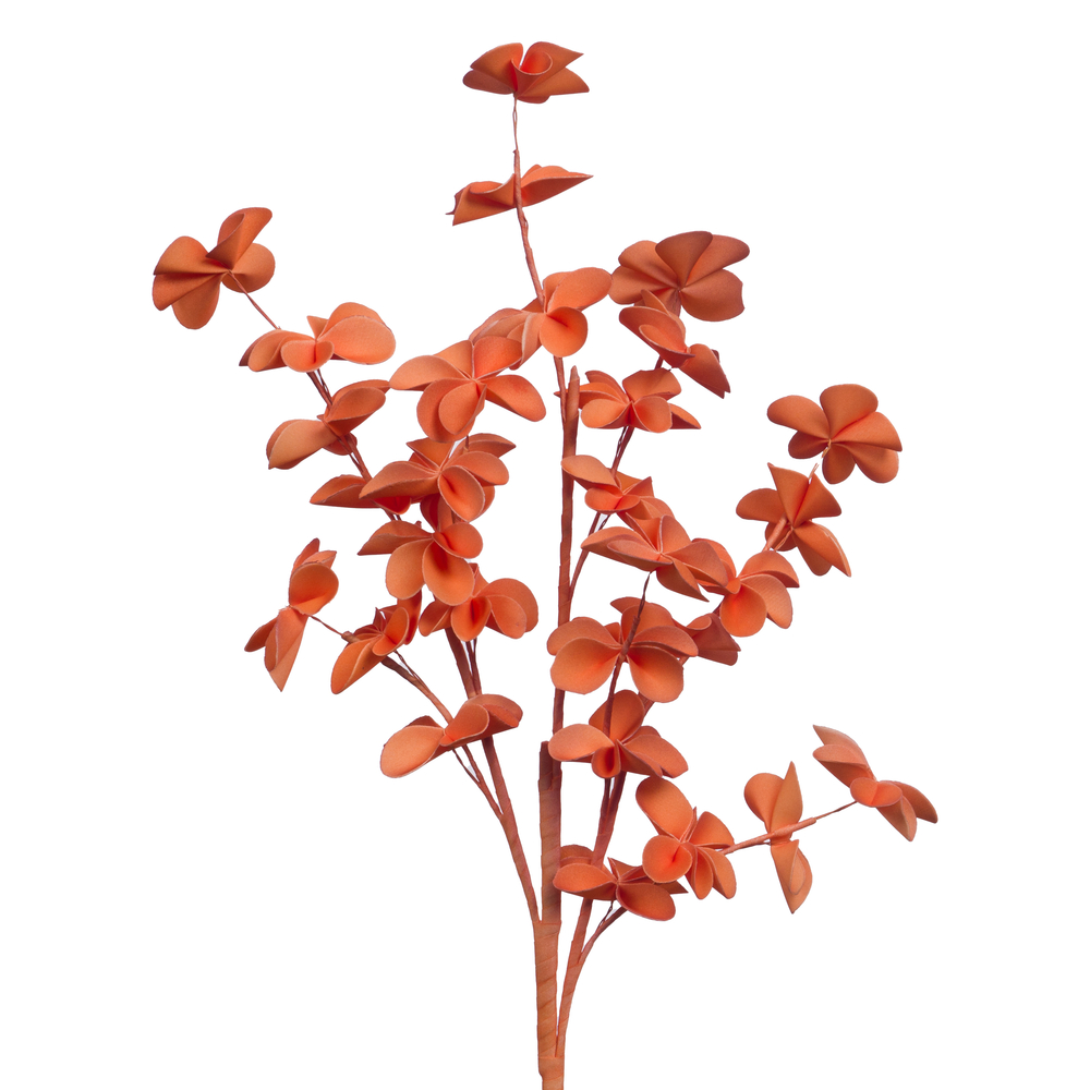 Tige 'Alma', coloris pêche - H.89cm