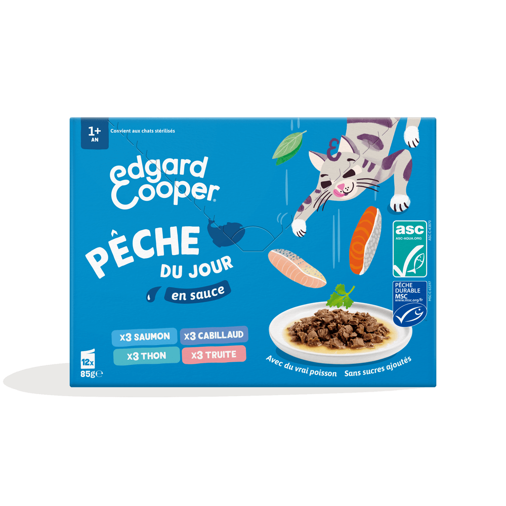 Pack pâtées en sauce pour chat 'Pêche du jour' - 12x85g