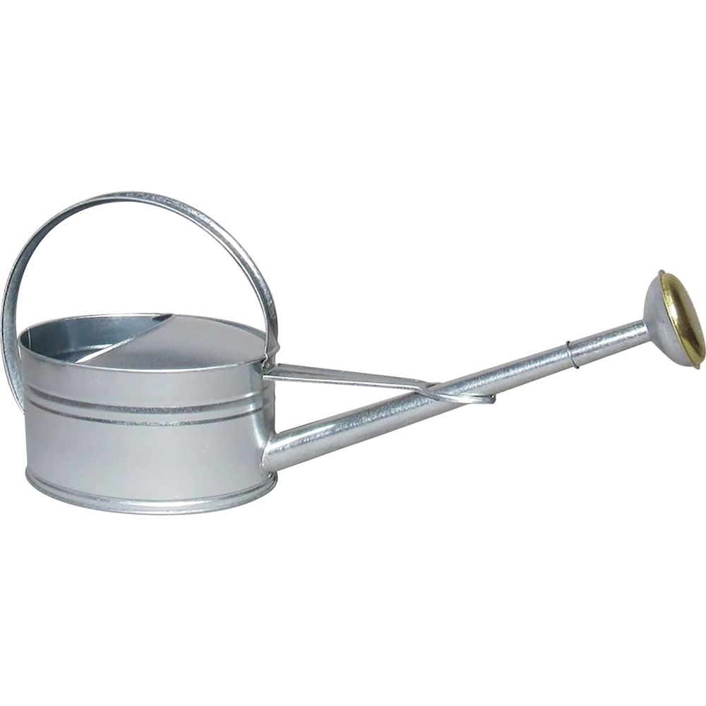 Arrosoir 5l acier galva bec long avec pomme galva grille laiton