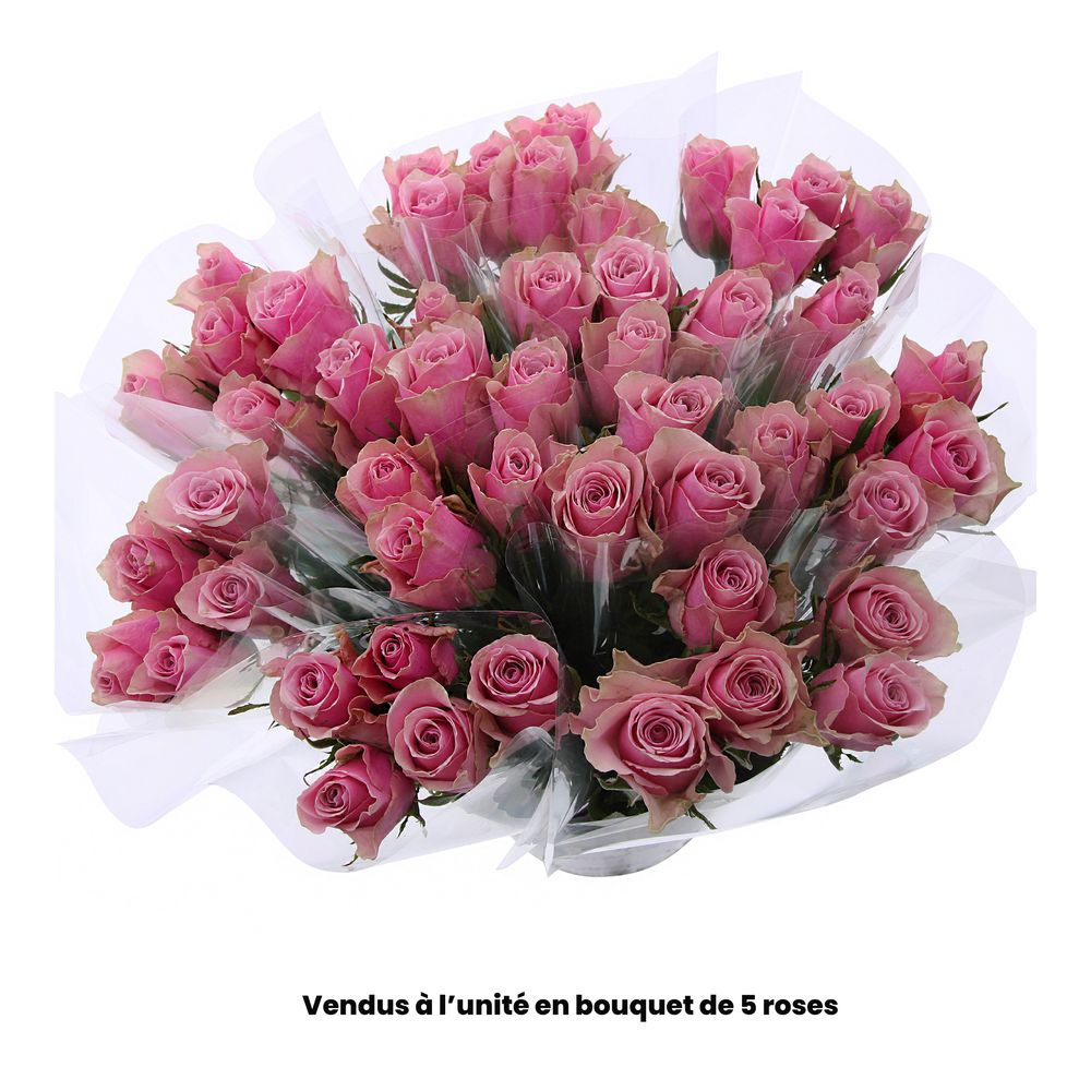 Botte de 5 roses roses - H.50cm