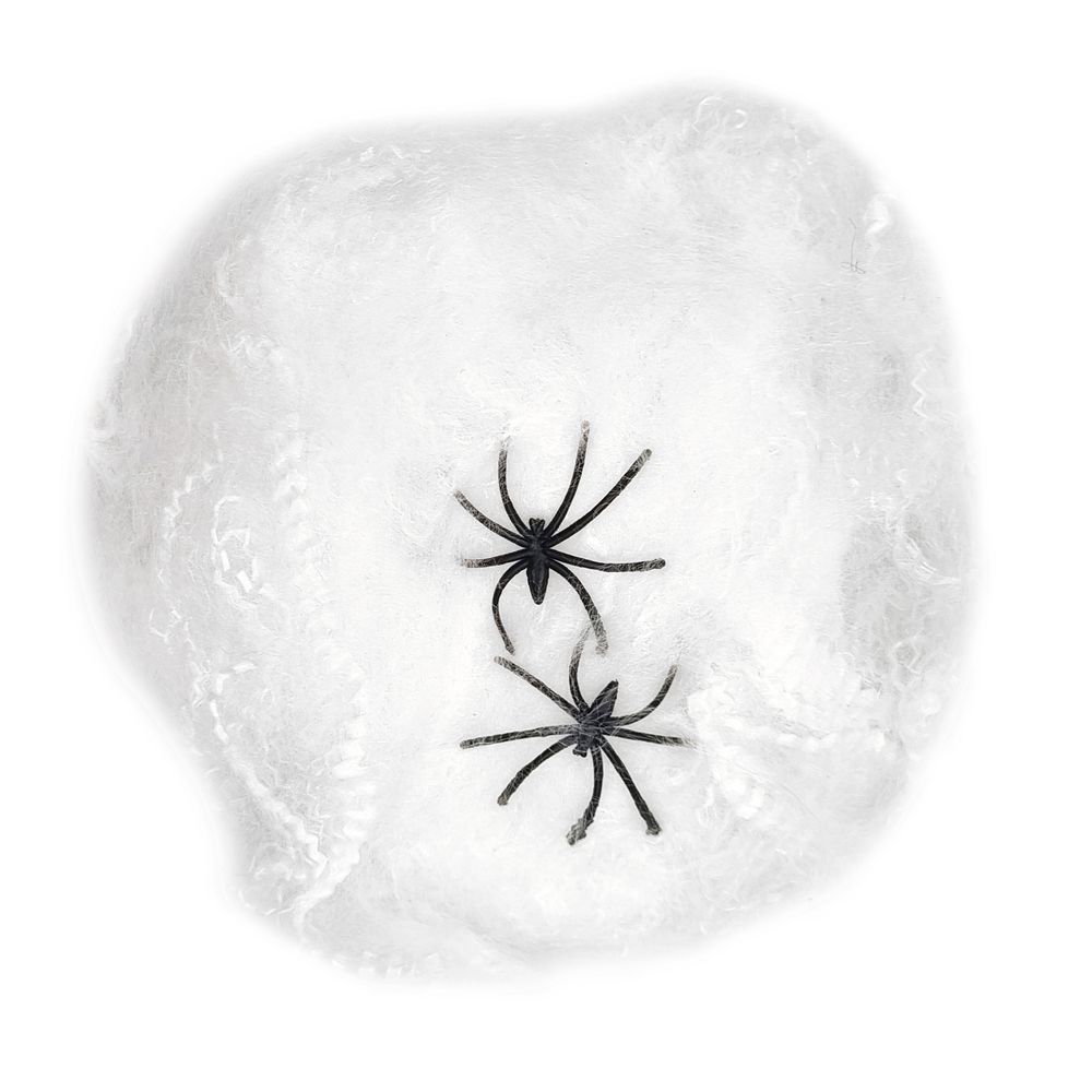 Décoration d'Halloween : toile avec des araignées - 20g