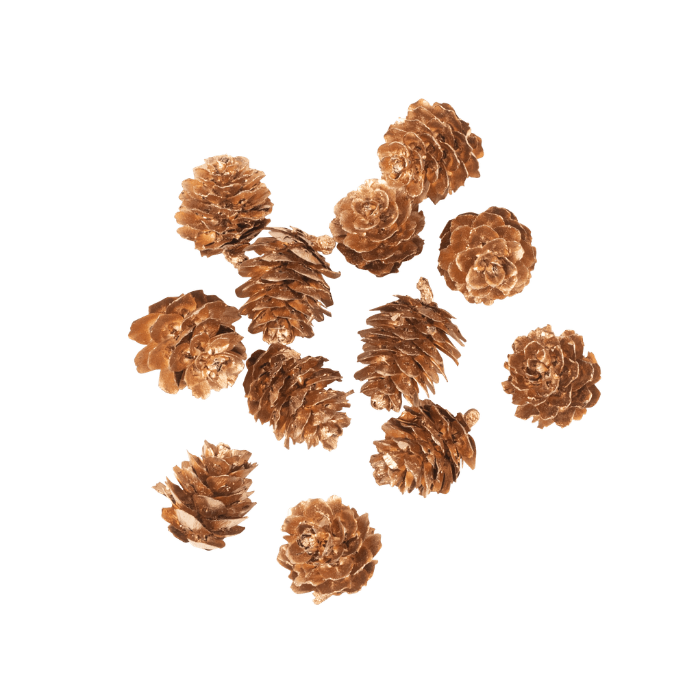 12 pommes de pin, coloris or - D.2cm