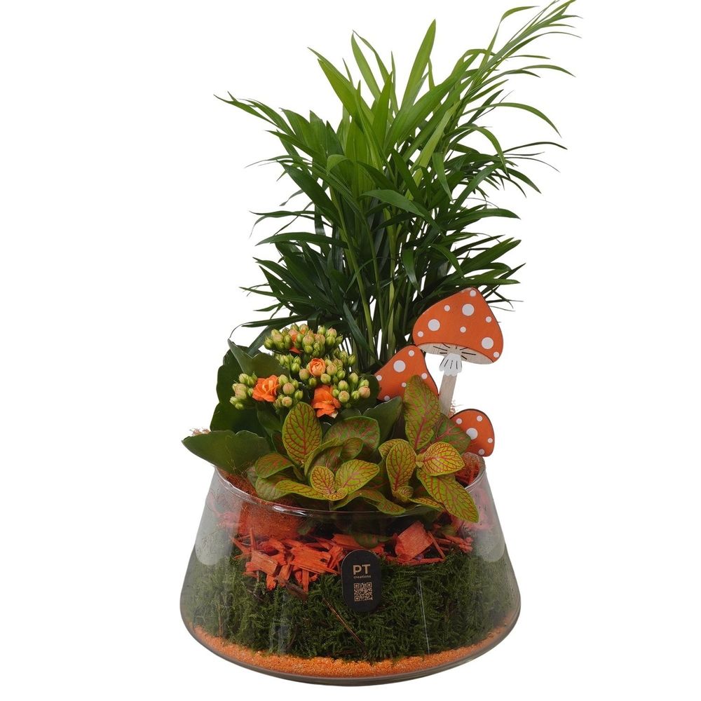 Composition Automne : coupe en verre D.18cm