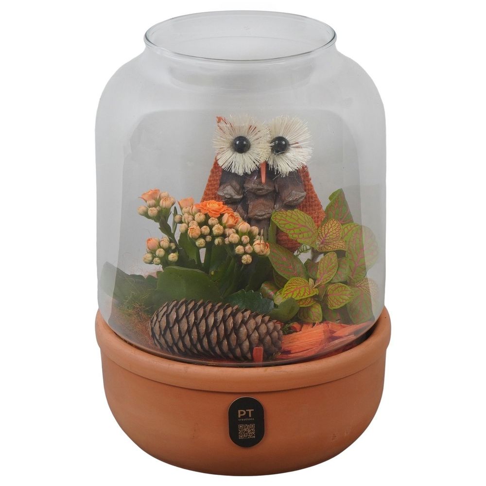 Composition Automne : terrarium en verre D.17cm