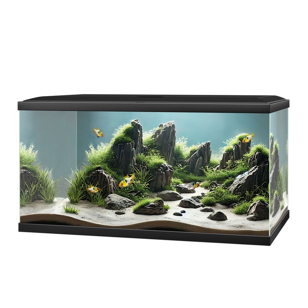 Aquarium Aqua 60 Led, coloris noir - 58L