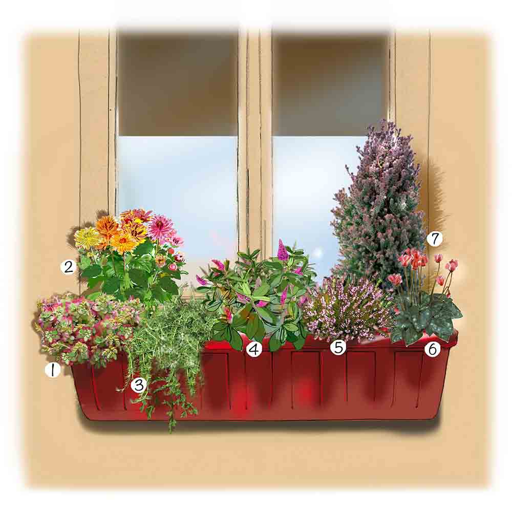 Idée d'aménagement d'une jardinière d'automne