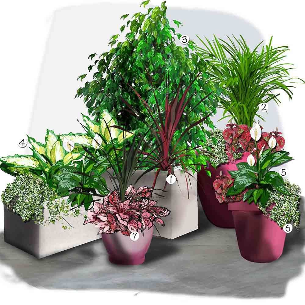 Coin de verdure intérieur