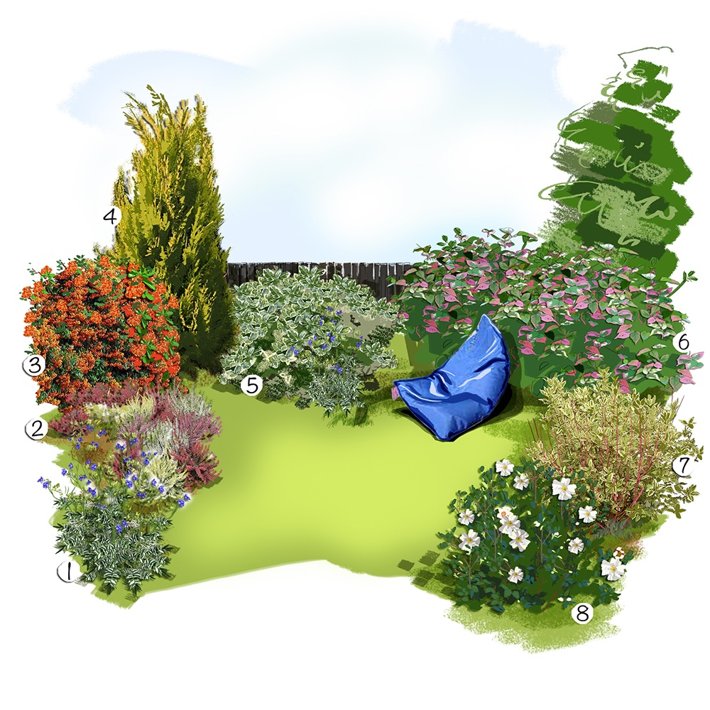 Un an de couleurs au jardin 