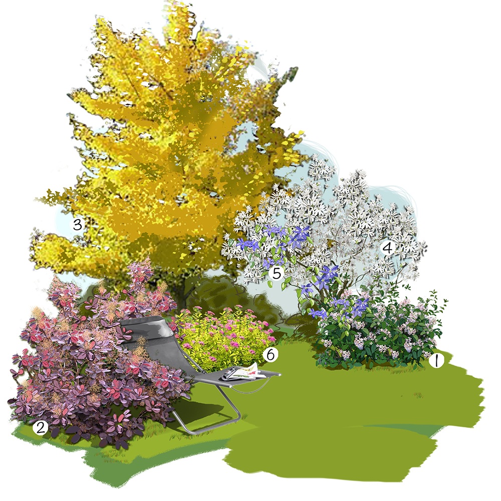 Feuillages lumineux au jardin