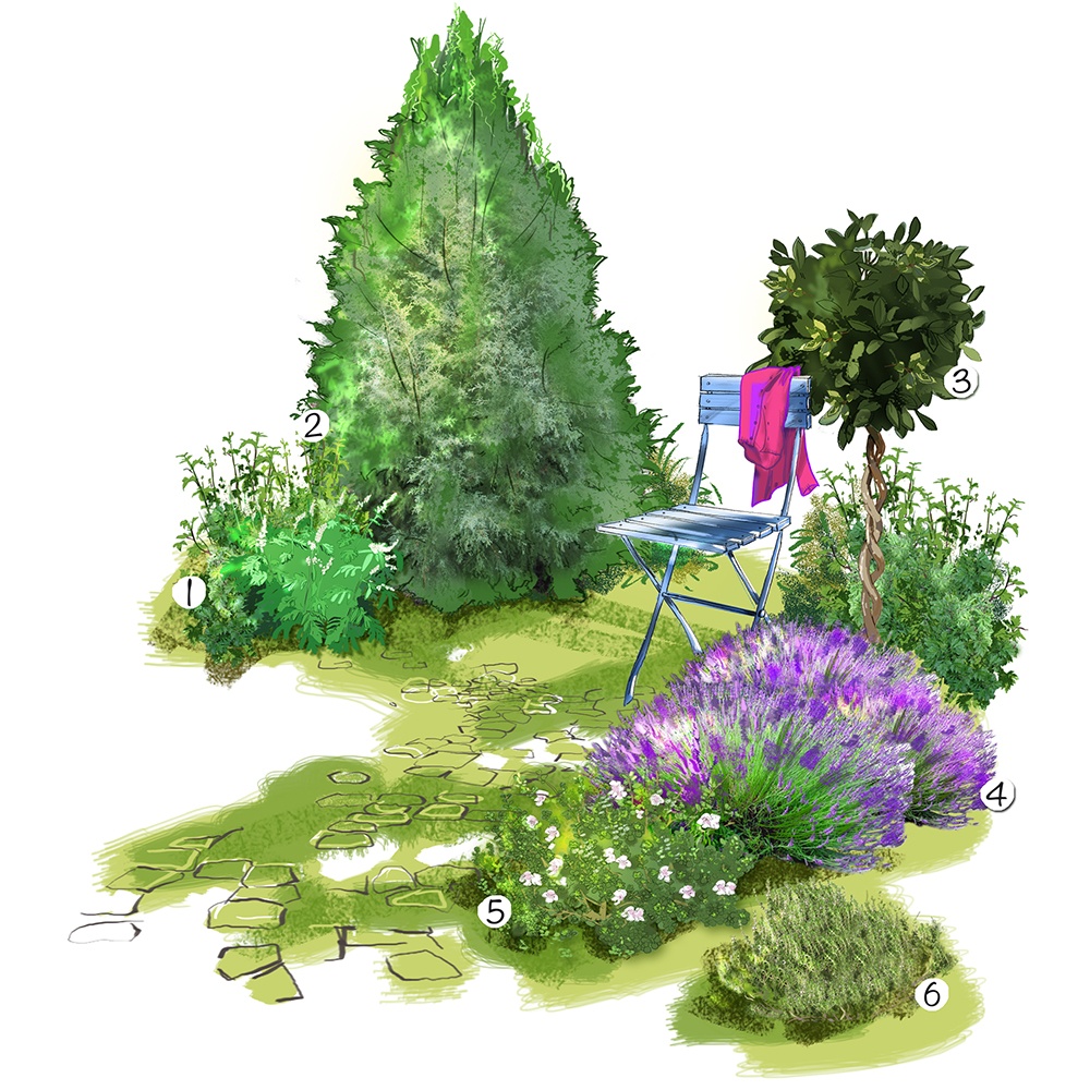 Feuilles parfumées au jardin