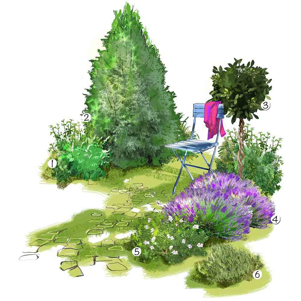 Feuilles parfumées au jardin