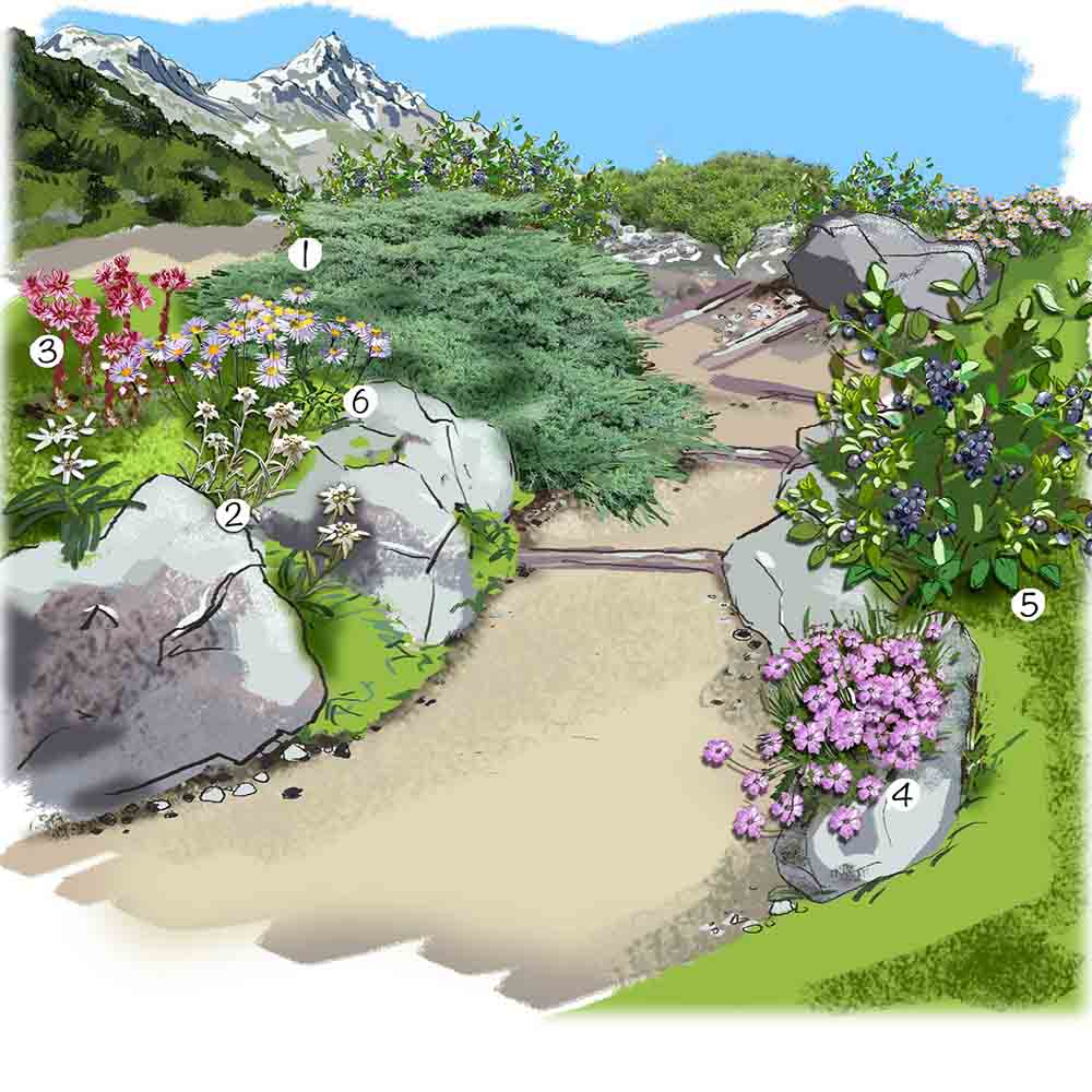 Aménager un jardin en altitude