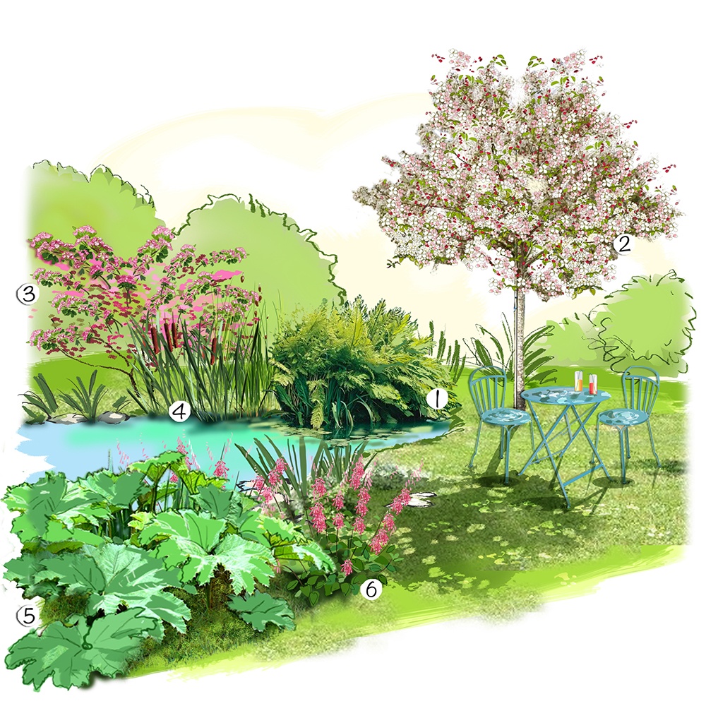 Plantes autour d'un bassin