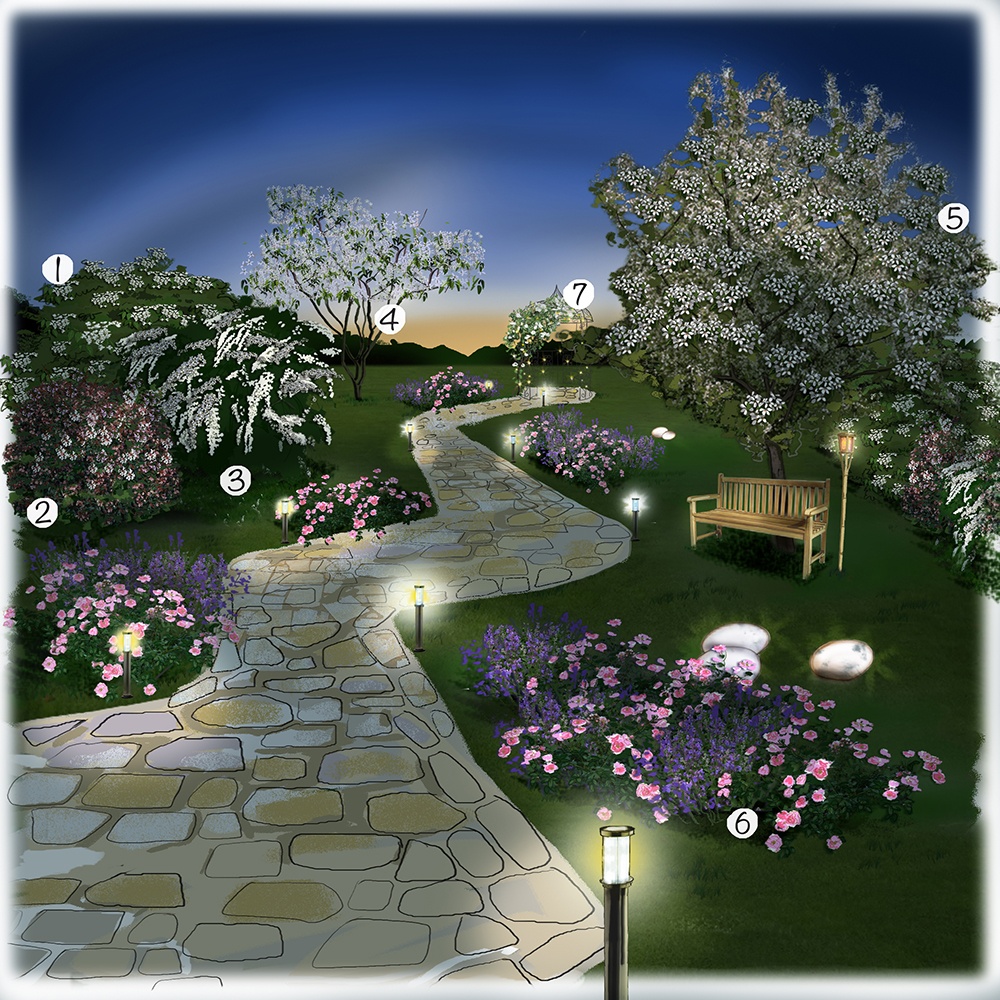 Jardin balade la nuit