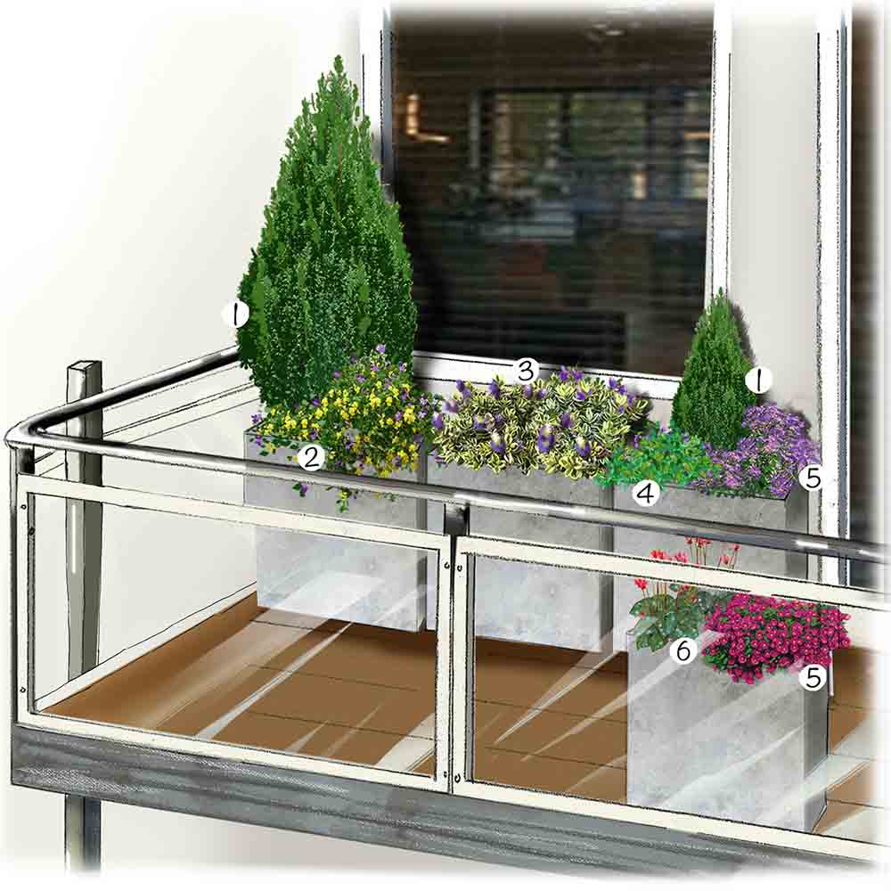 Un jardin sur mon balcon