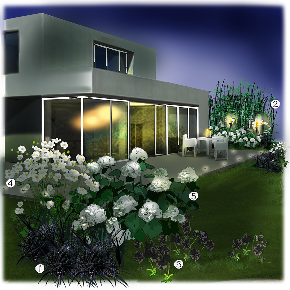 Jardin blanc et noir la nuit