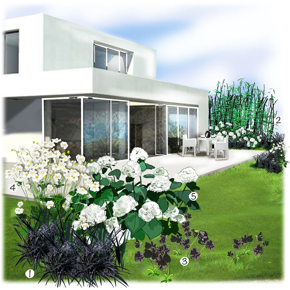 Jardin blanc et noir