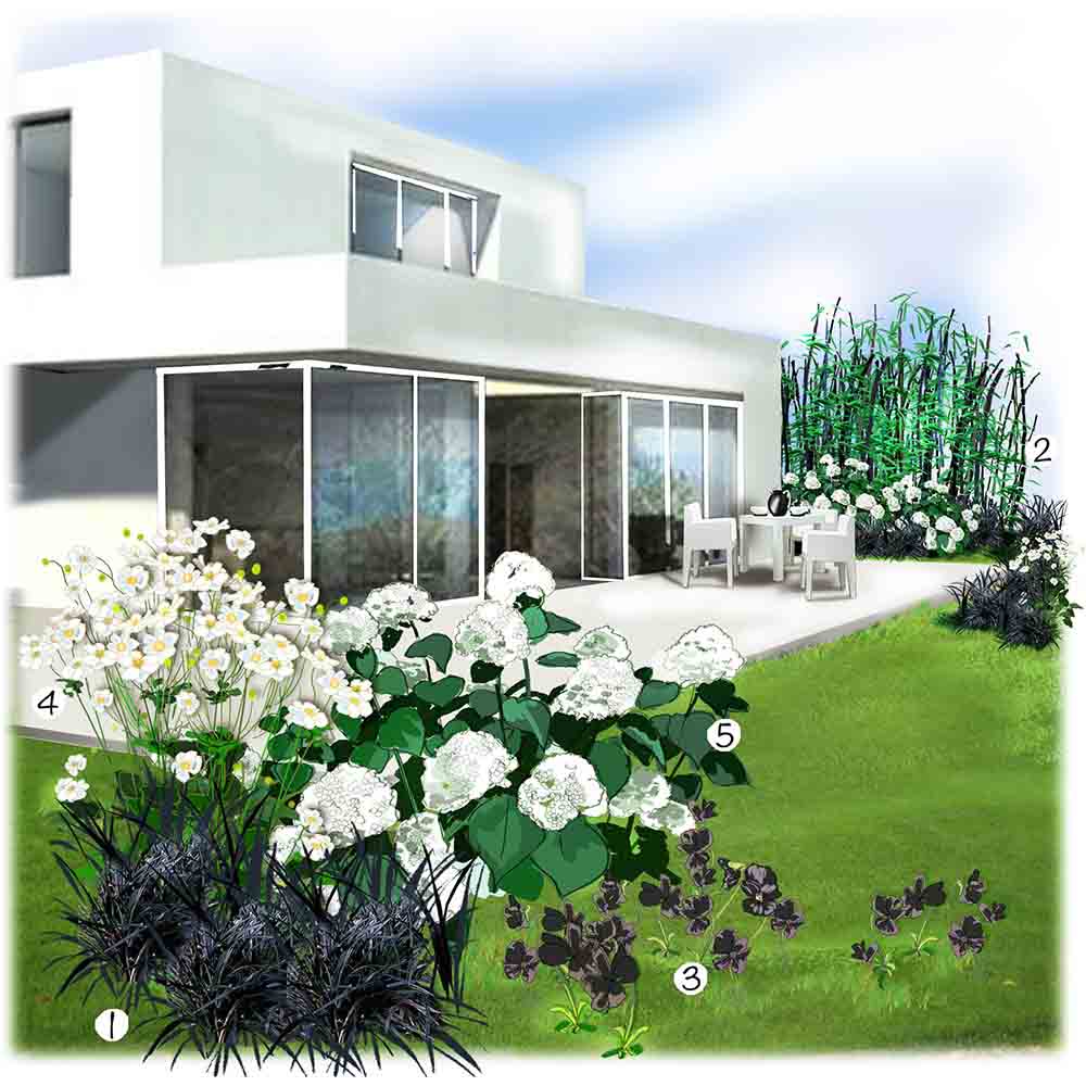 Jardin blanc et noir