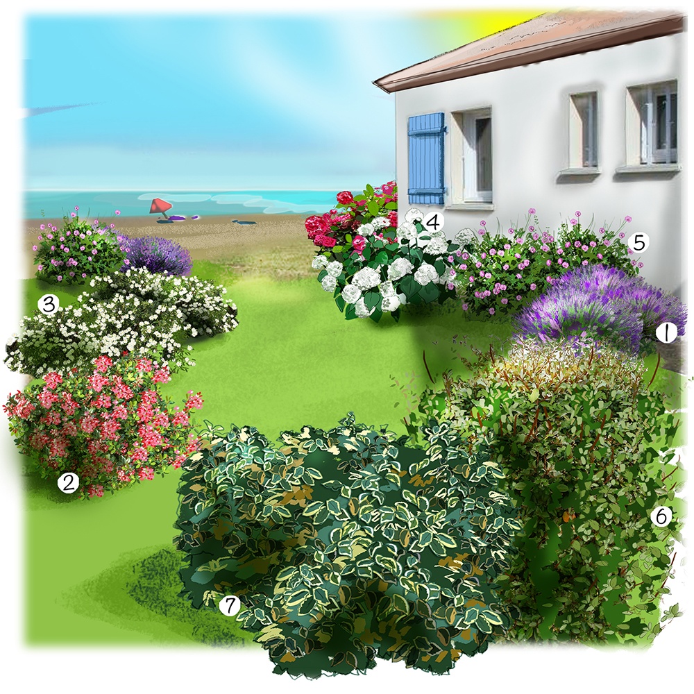 Aménagement jardin bord de mer