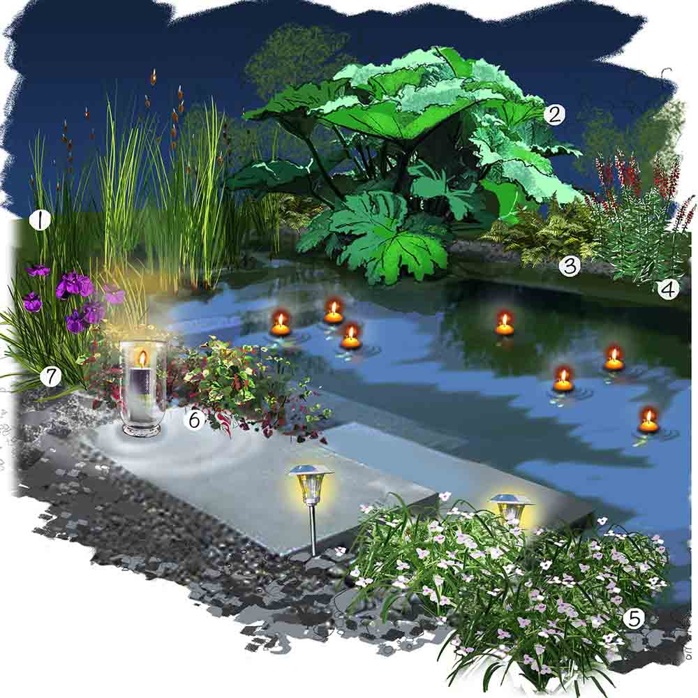 Jardin au bord de l'eau de nuit