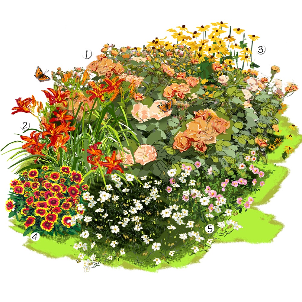 Jardin aux couleurs estivales 