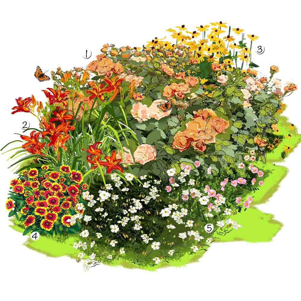 Jardin aux couleurs estivales 