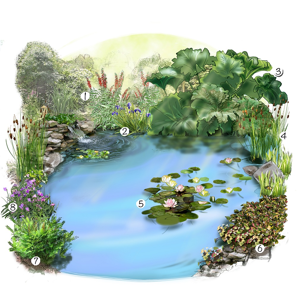 Aménager un jardin d'eau