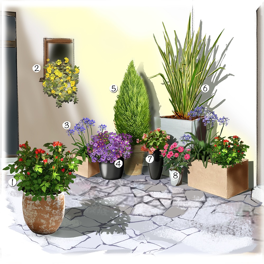 Aménager un jardin en pot