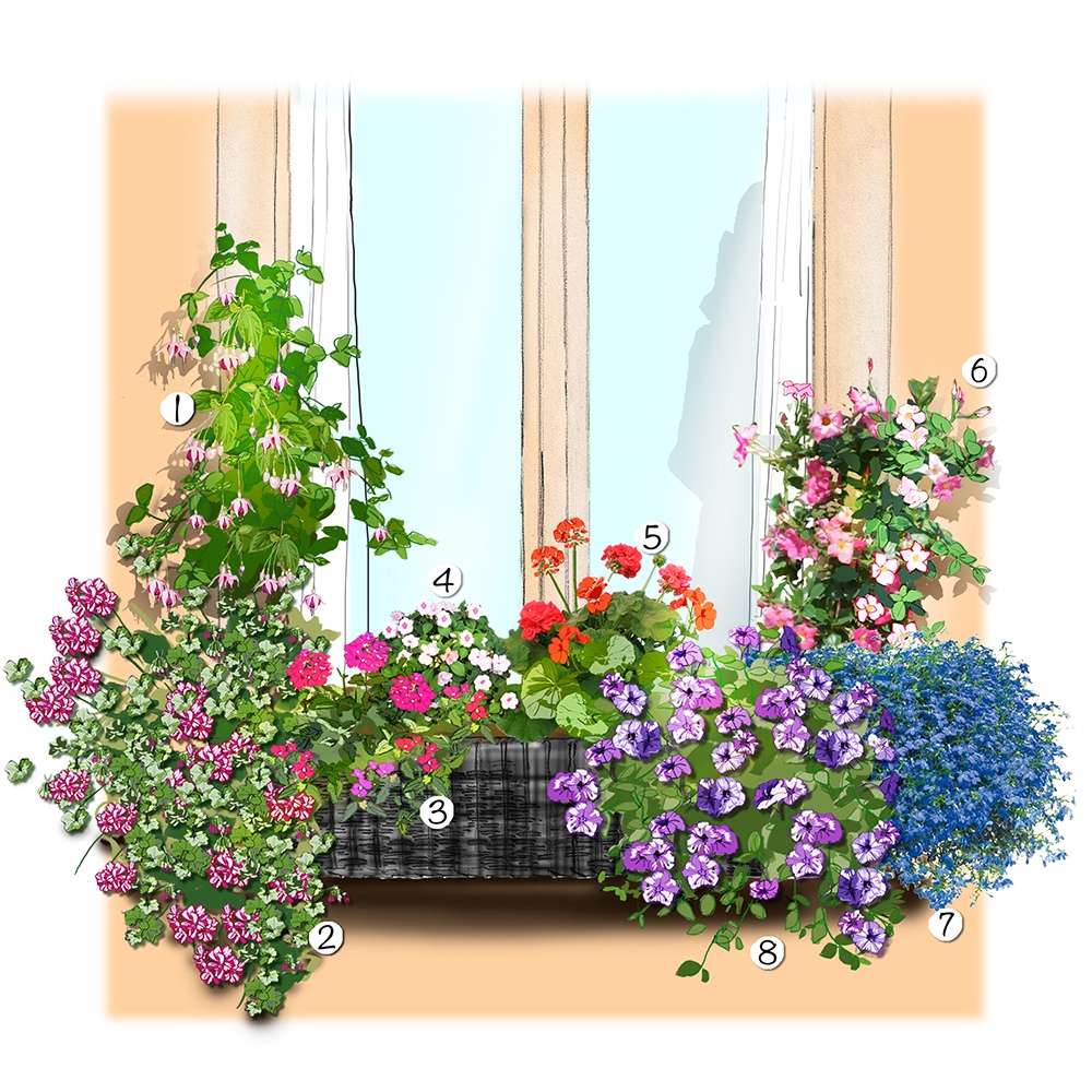 Un jardinière d'été