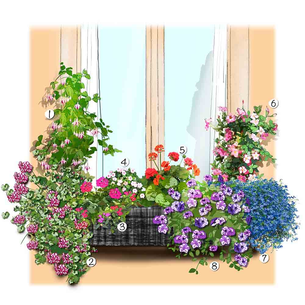 Un jardinière d'été