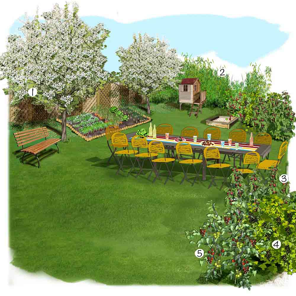 Potager famille nombreuse