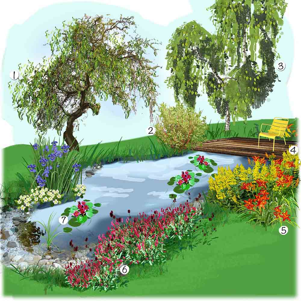 Idée d'aménagement de jardin humide