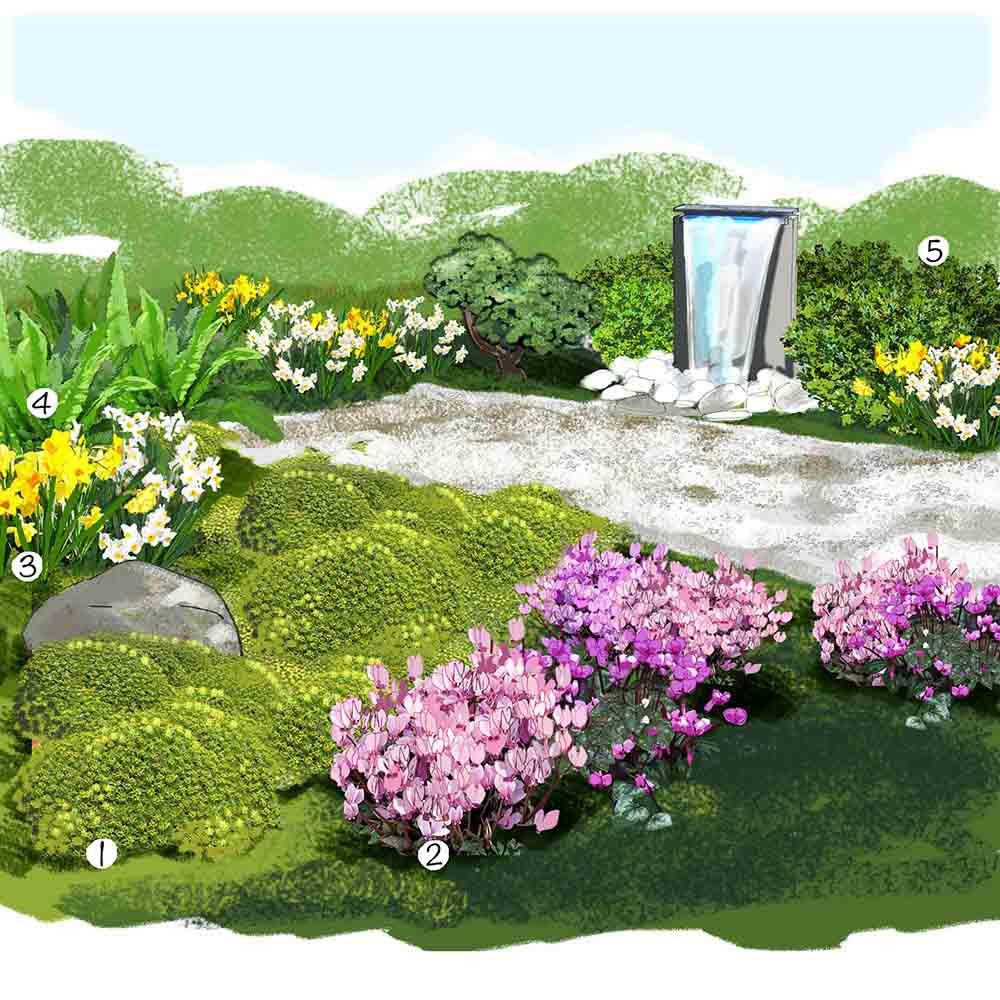 Jardin de mousse au jardin