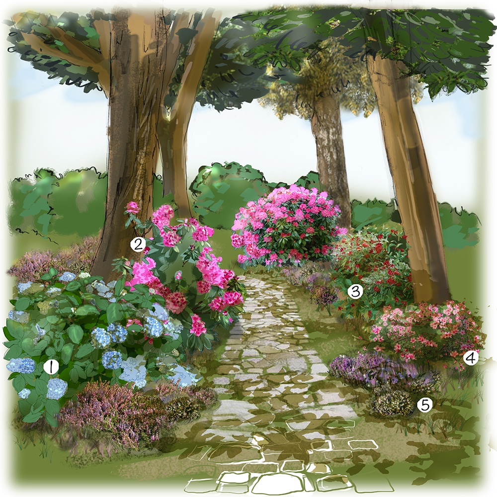 Aménagement jardin d'ombre