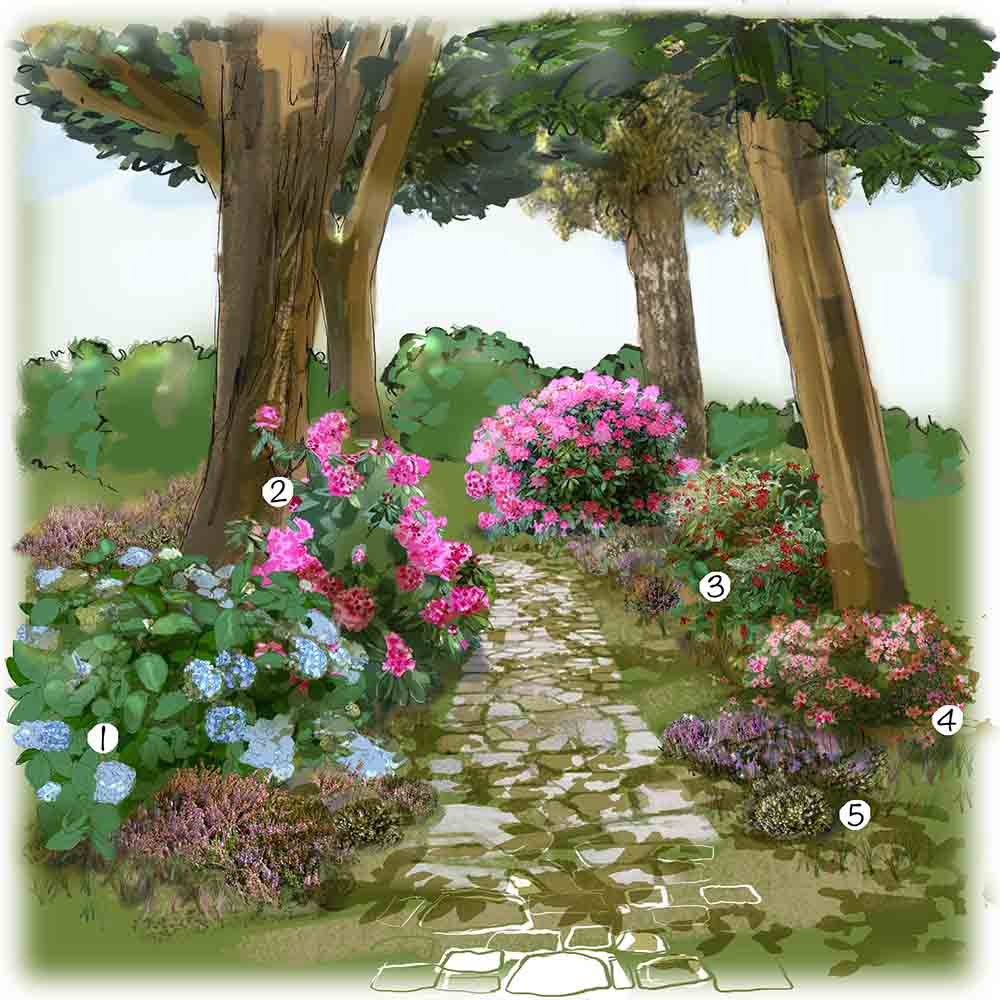 Aménagement jardin d'ombre